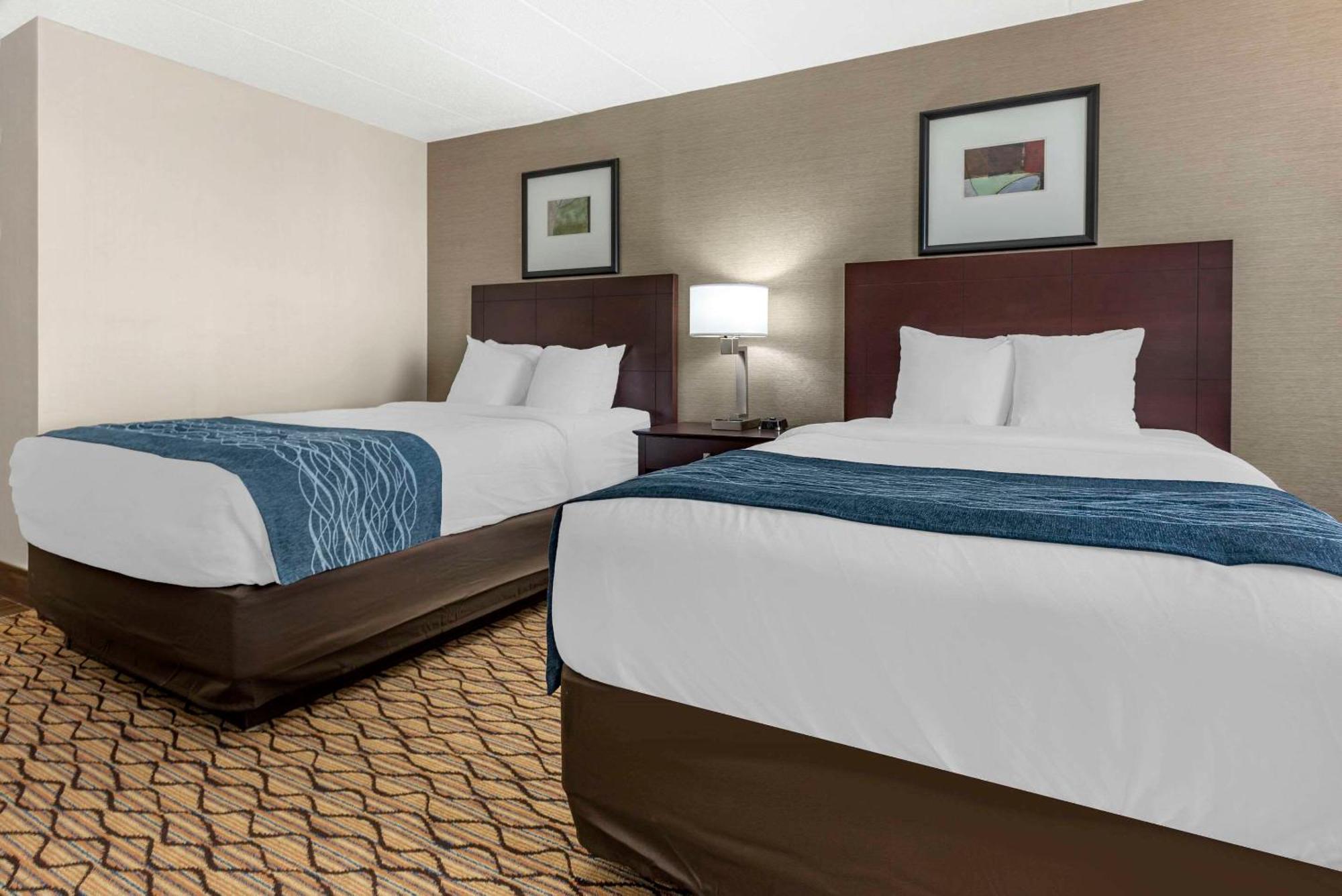 Comfort Inn & Suites Glen Mills - West Chester Dış mekan fotoğraf